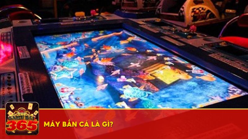 Máy bắn cá