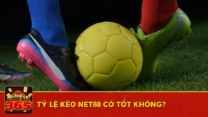 Tỷ lệ kèo Net88